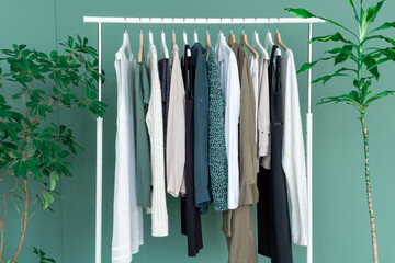 shopping dress clothes shelf green leaves plant background