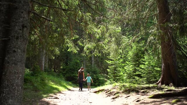 Woman leads a little boy by the hand along the road in a pine forest in Durmitor National Park