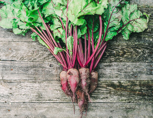 Bunch of fresh raw organic beets with leaves on rustic wooden background. Agriculture. Soft...