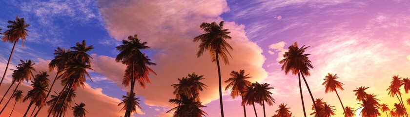 Palm trees on the background of a beautiful sunset sky with clouds, 3D rendering