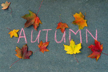 The word "autumn" in English. The word is written in chalk on the gray asphalt. Next to the inscription-yellow, red and orange maple leaves. Autumn walk in the Park.