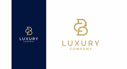 BC logo design, Premium Vector BC Logo in two color variations. Beautiful Logotype design for luxury company branding. Elegant identity design in blue and gold.