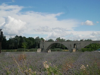 Pont d'Avignon 