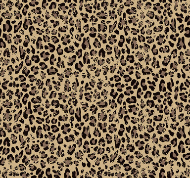 Leopard print vector yellow rubbed background for print, skin of a cat.