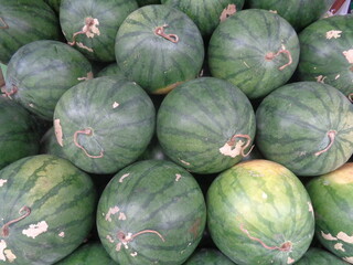 watermelons at the market