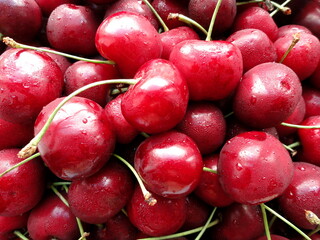 Sweet cherries with water drops 