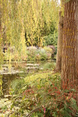 Jardin de Claude Monet 