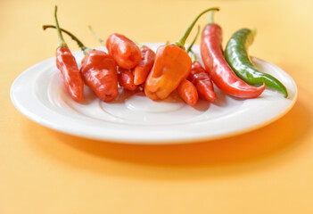 Red chilli pepper placed on the small white plate isolated on yelow background