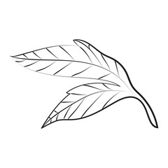 Elegant outline sketching of peony leaf, vector illustration, seamless pattern