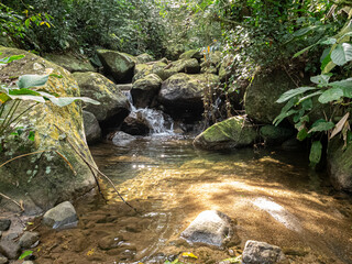 Naklejka na ściany i meble pequeno riacho em meio a floresta tropical rodeado de pedras com musgo e vegetação por todos os lados com uma pequeno lago abaixo
