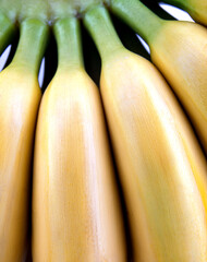 Ripe bananas. A bunch of delicious bananas.