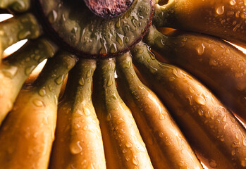 Delicious ripe bananas. Bunch of bananas.