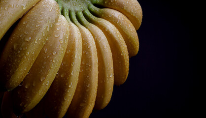 Juicy ripe bananas with drops of water on the peel on a black background.