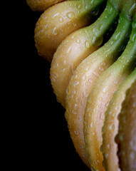 Bananas with drops of water on the peel on a black background.