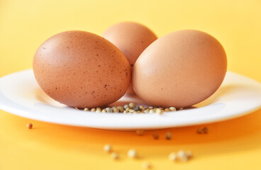 Chicken eggs placed on white plate with some white pepper on color background