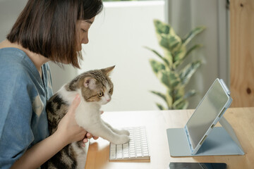 asian woman with her cat and use tablet meeting and telemedicine with veterinary from home