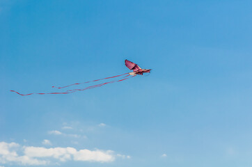 a kite in the form of an eagle