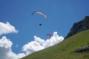 Paragliders flight over the magic black forest