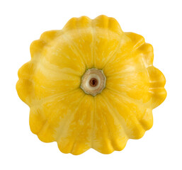 one yellow pattison isolated on a white background