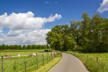 Fototapeta na wymiar german countryside landscape, Lower Rhine Region, Germany