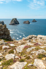 Fototapeta na wymiar The beautiful coastline in summer at Pen Hir Point on the Crozon Peninsula in French Brittany, the three famous islets, France. Vertical photo