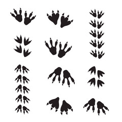 Dinosaur footprint tracks vector set illustration. Dinosaur footprint vector