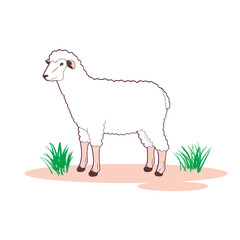 sheep vector
