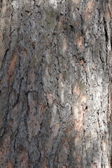 texture