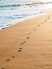 Fototapeta na wymiar footprints on golden sand by the sea at sunset