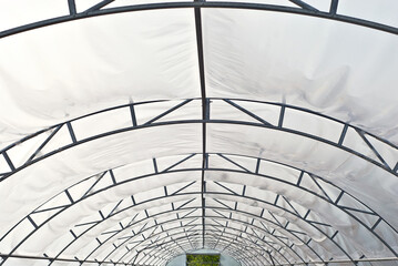 Greenhouse from a metal framework and a polyethylene film. Premises for growing vegetables and...