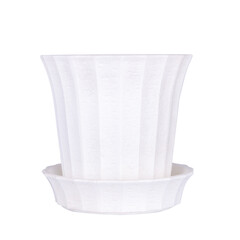 plant pot isolated on white background