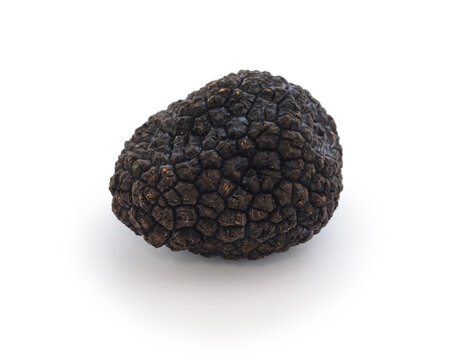 fresh black truffle isolated on white background
