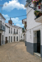 Flowers in white street