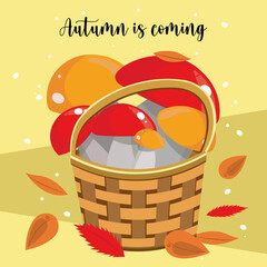 Autumn is coming. Autumn illustration, mushrooms in a basket and autumn bright leaves on a warm background. Red and porcini mushrooms in a basket. Beautiful autumn picture for decoration.