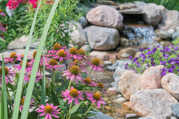 Plants and flowers along the stream of a backyard water feature.