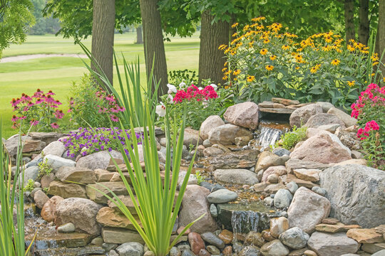 A backyard water feature's landscaping in full bloom.