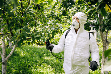 The topic of industrial agriculture. A person sprays toxic pesticides or insecticides on a...
