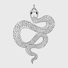 Black Snake Vintage Old Vector Hand Drawn Illustration Linear Snake Tattoo Sketch Gothic Halloween Illustration Witchcraft Attributes Magic Runes Occult Voodoo Isolated serpent Snake Drawing