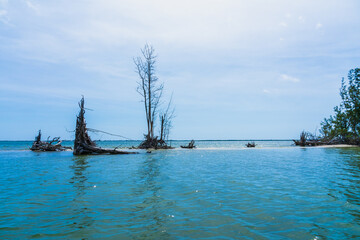 Lost uninhabited island in the Indian River is washed by the Atlantic Ocean in Florida. A paradise place to stop for a relaxing boat trip while fishing