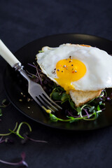 Fried egg on toast on pillow of microgreen. Breakfast