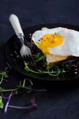 Fried egg on toast on pillow of microgreen. Breakfast