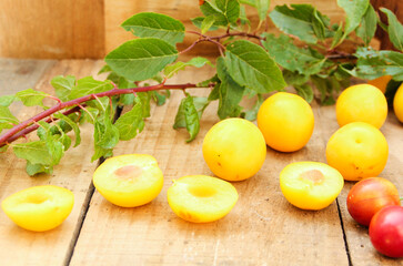 Kirschpflaumen Wildpflaumen Wildfrüchte Wild Früchte