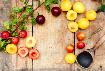 Wildfrüchte Wildpflaume Mirabelle Kirschpflaume