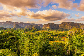 View of fields, mogotes and palms in Vinales Valley, Cuba