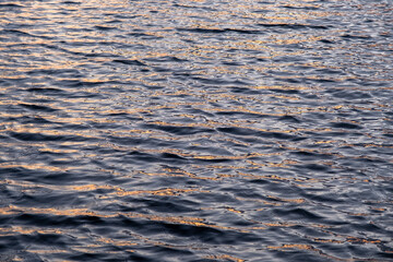 Ripples, small, little wave. Lot of waves on lake surface on sunset time..Gold water texture, natural summer background.