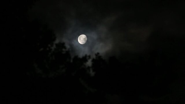 Nuvens passando num céu noturno sobre a lua cheia ao som de sapos, grilos e cachoeira.