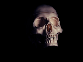Single human skull in the darkness.