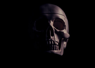 Single human skull in the darkness.