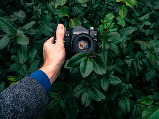 Male hand holding a vintage film camera in the air. Green nature in the background.