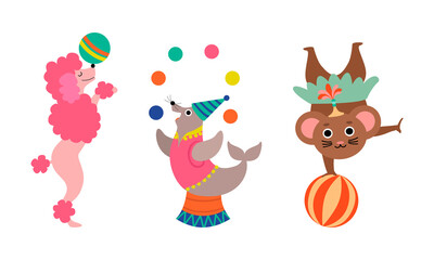 Circus Poodle and Seal Animal Performing Trick Juggling with Ball Vector Set